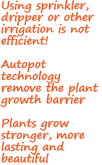 Using sprinkler, dripper or other irrigation is not efficient! Autopot technology remove the plant growth barrier Plants grow stronger, more lasting and beautiful