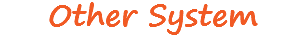 Other System
