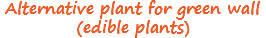 Alternative plant for green wall
(edible plants)
